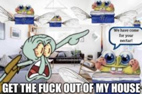 Why are random middle aged women starting to follow me on this accounts, please stop