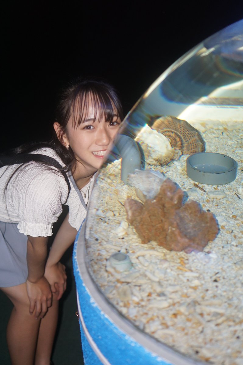 かっちゃん☆パソコン on X