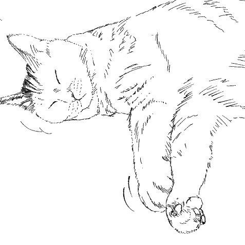 一体なぜ猫の絵を? 