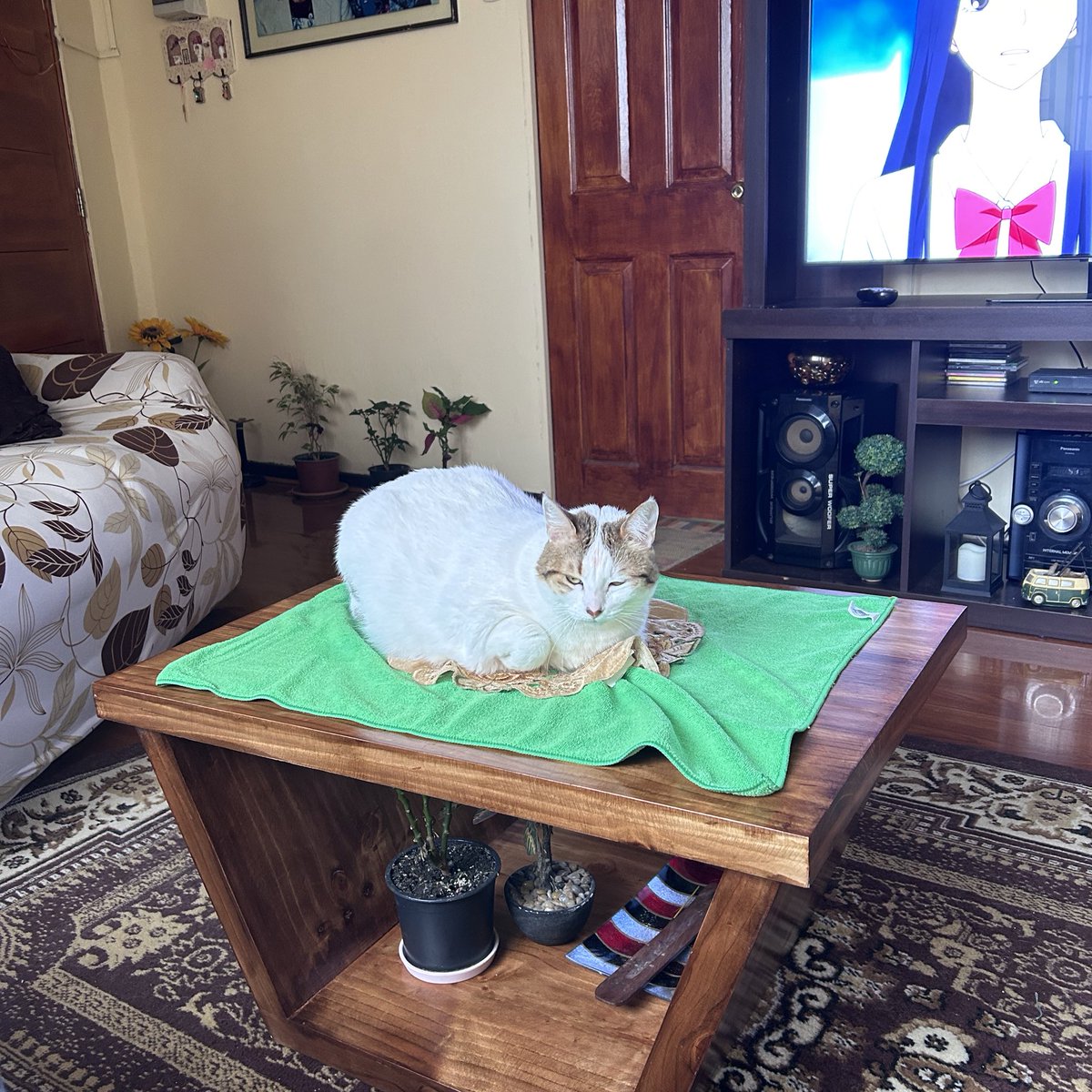 ella es el centro de mesa