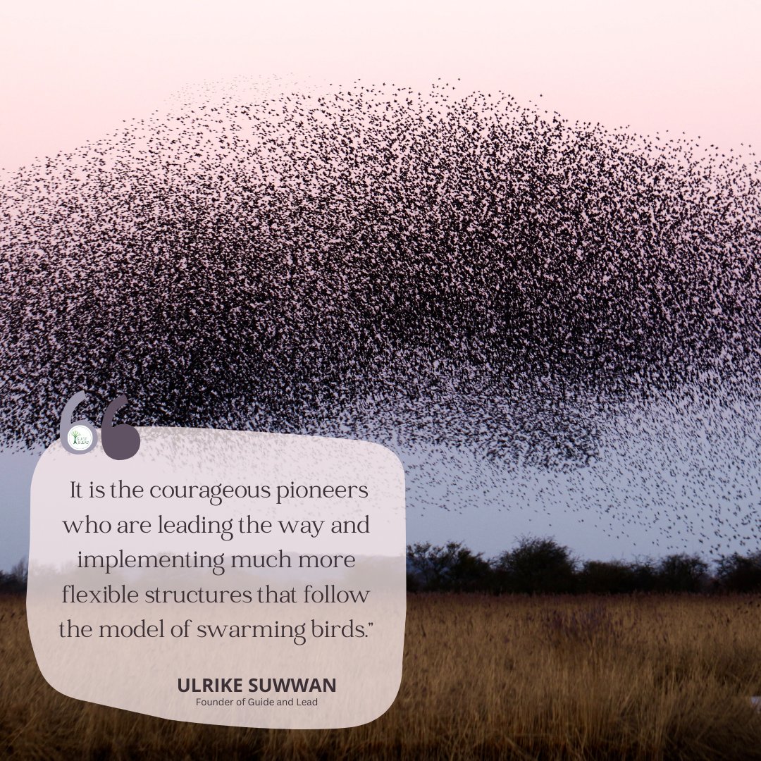 Guide_and_Lead's tweet image. Swarm organisations exist on a completely different mindset – it&apos;s as simple as that. This is not about exerting control or focusing solely on profit. For the individual, it is not about simply doing a job and getting a salary.