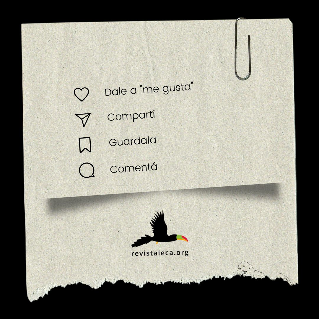 La RLECA recomienda: 𝐄𝐥 𝐭𝐫𝐚𝐧𝐬𝐟𝐞𝐦𝐢𝐧𝐢𝐬𝐦𝐨 𝐧𝐨 𝐞𝐬 𝐮𝐧 𝐡𝐮𝐦𝐚𝐧𝐢𝐬𝐦𝐨: 𝐜𝐫𝐮𝐜𝐞𝐬 𝐞𝐧𝐭𝐫𝐞 𝐚𝐧𝐢𝐦𝐚𝐥𝐢𝐝𝐚𝐝 𝐲 𝐠𝐞́𝐧𝐞𝐫𝐨 de Anahí Gabriela González y María Belén Ballardo. 📚🏳️‍⚧️🐾🔗doi.org/10.55441/1668.…
#Transfeminismo #GéneroYAnimalidad