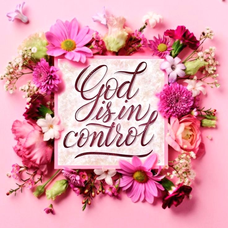 🦜Phoenix & Sage Conure🎀 (@amazinglyjordan) on Twitter photo 