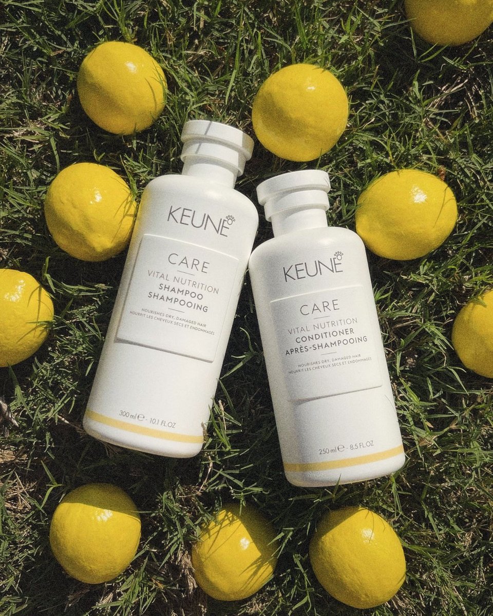 TheHairsense's tweet image. Hello hydration! Massage @keune_northamericapro Care Vital Nutrition Shampoo into wet hair to cleanse, restore, and revitalize stressed strands. 🍋💛 

Tap to shop 🛍️
Free Shipping 🇨🇦
Shipping worldwide ✈️

#keune #haircare #healthyhair #healthyhairjourney #hairsense