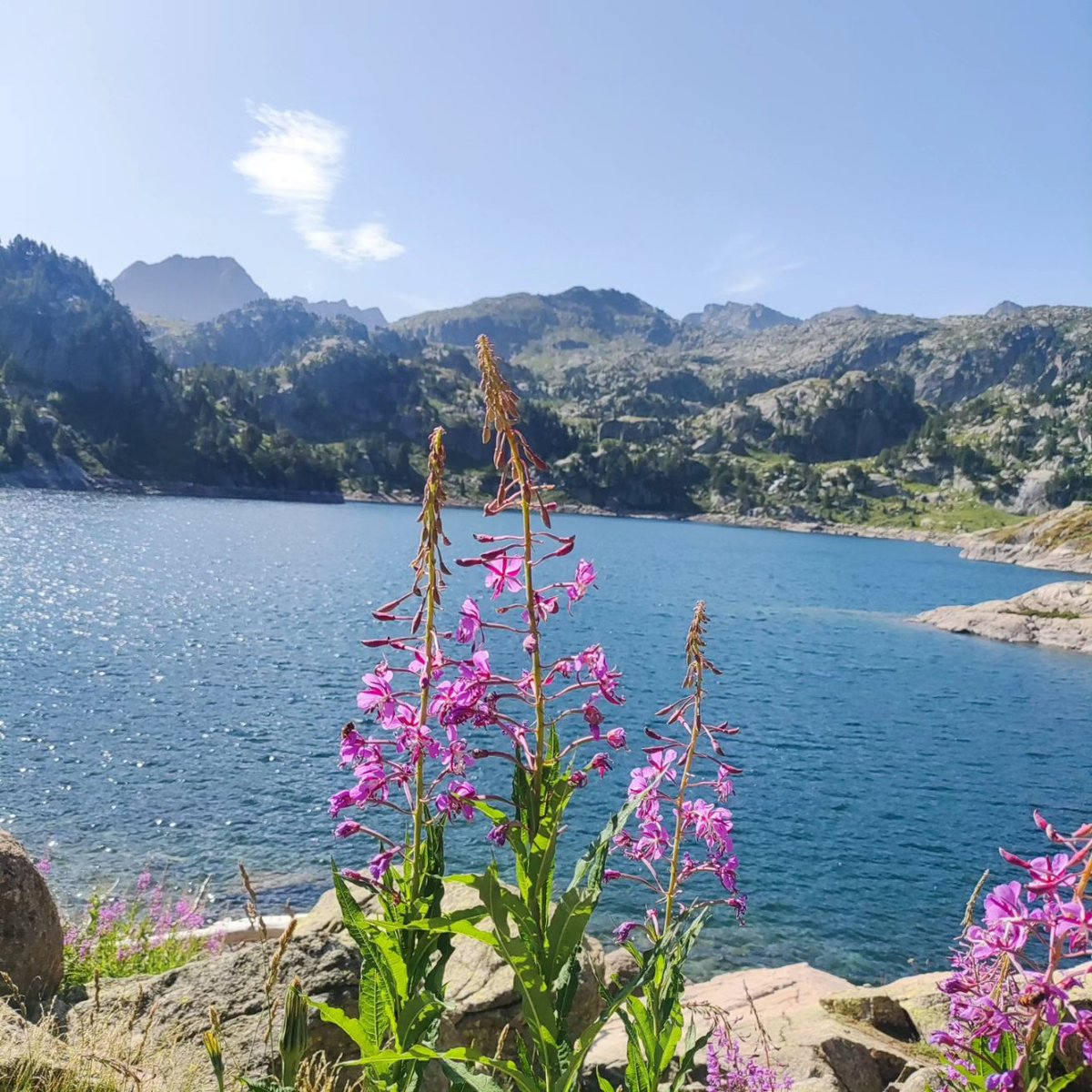 plans99's tweet photo. Catalunya és preciosa. https://t.co/k88a9T1yeS