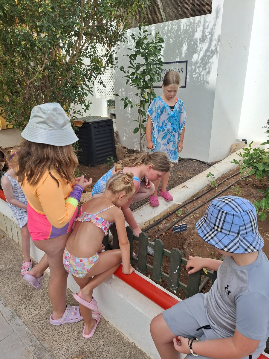 Yohady81's tweet photo. Children planted cherry tomato seeds in the #Ecogarden today 🍅 Another of our #sustainable summer activities at #SunsetHarbourClub ♻️ Let's help our children to take care of their planet! #Goinggreen #NoplanetB @Radha_dadlani @RachelDemmy @lourdesGober https://t.co/y31bXaAeRw