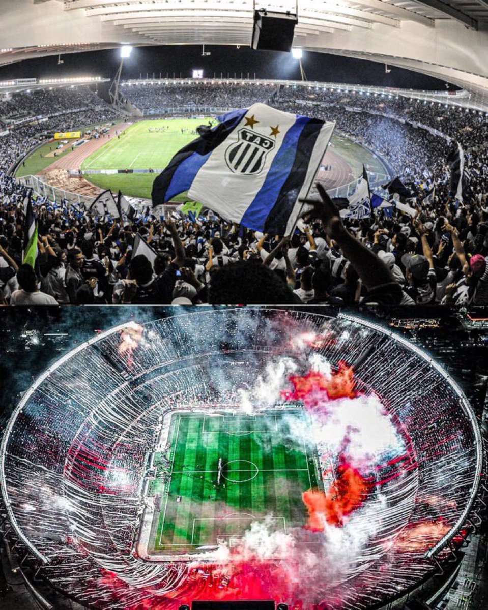 RENZO PANTICH tweet media