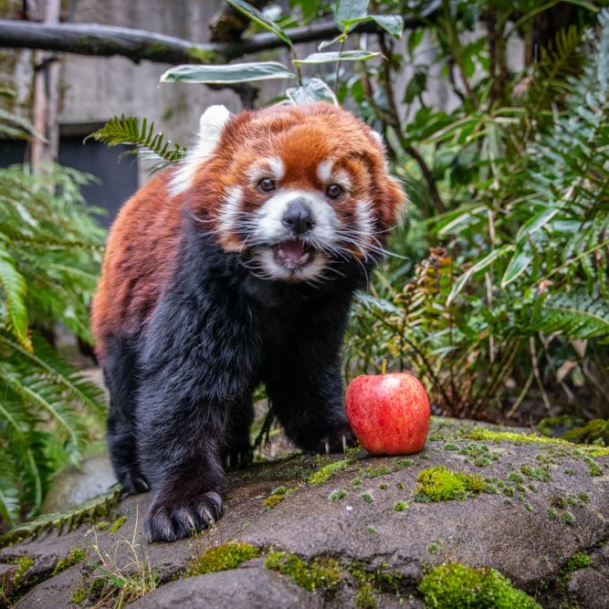 🎶 It's just another Moshu Monday 🎶