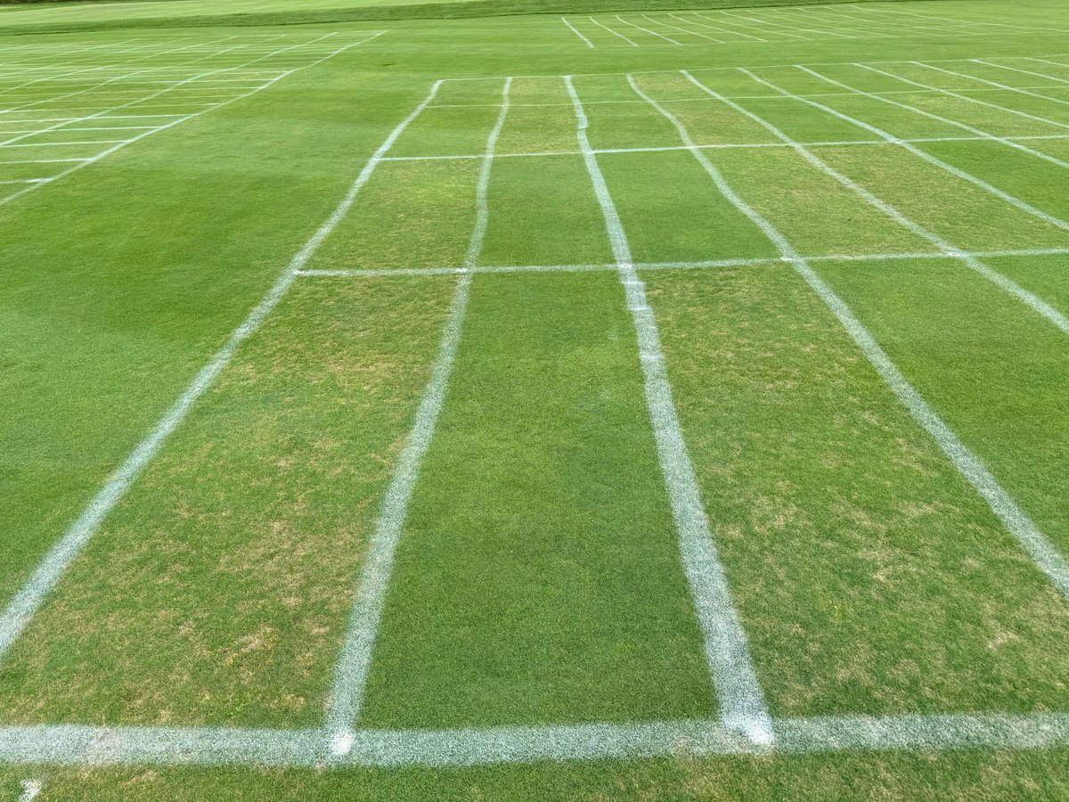 You know when Turf Bucky shows up that Field Day is near. Program starts at 9, walk ups are welcome. Lawn care, sports turf, and sod in the morning with golf after lunch. Lots of great stuff to see!

Now be kind tonight Mother Nature...

wisconsinturfgrassassociation.org/wisconsin-turf…