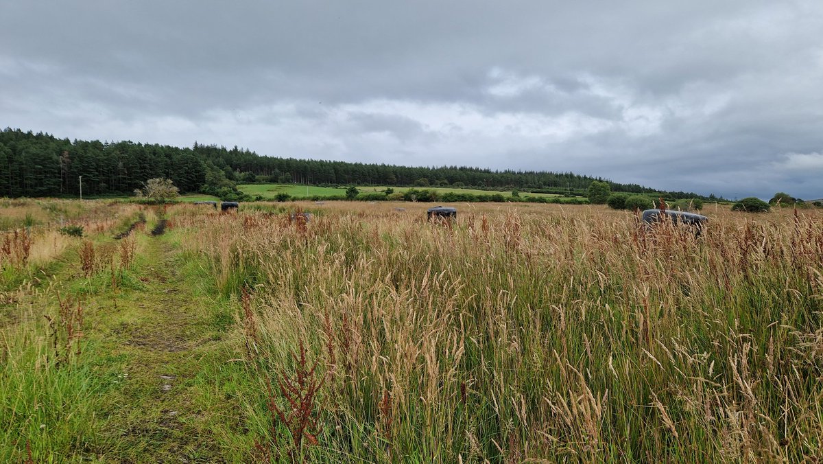 Edinvale Farm 🌱🐂 tweet media