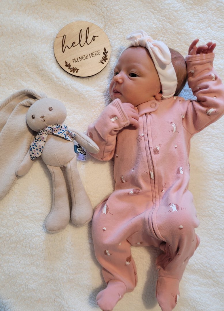 Jeff Pickel tweet media