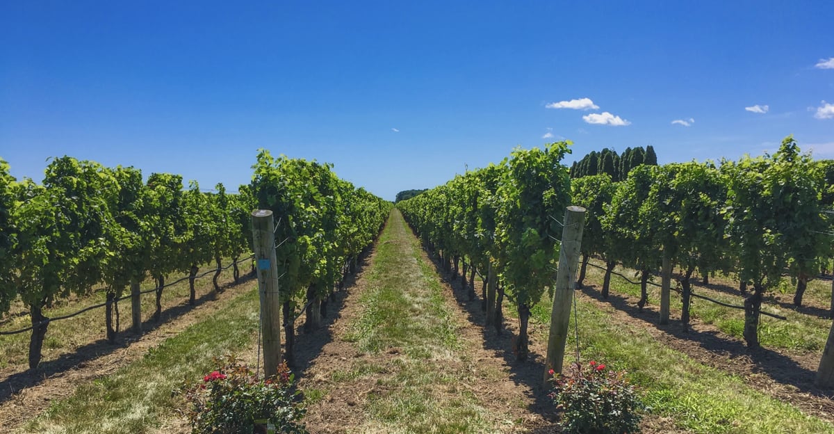 Cathy Fuller tweet media