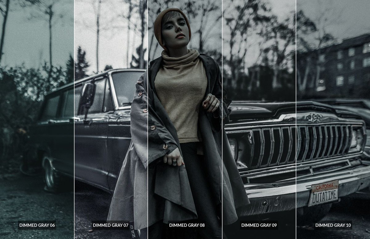 Dimmed Grays Photoshop Action - WeGraphics buff.ly/3YxipZT