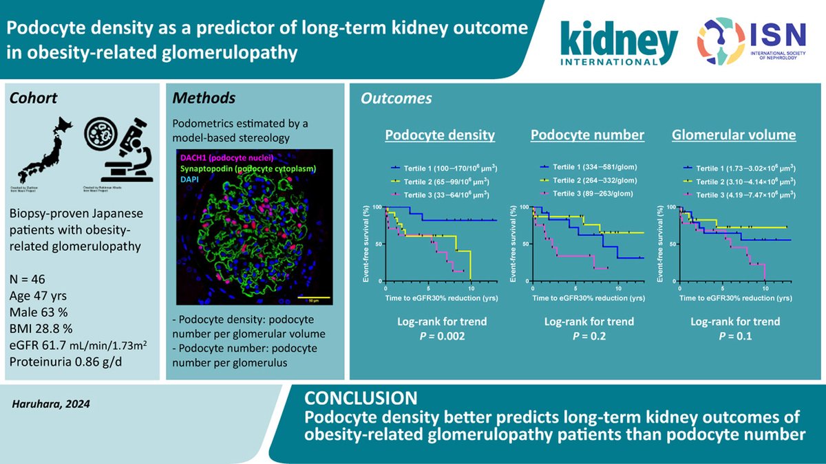 #Podocyte density as a predictor of long-term #kidney outcome in obesity-related #glomerulopathy

doi.org/10.1016/j.kint…

#OpenAccess #obesity

<a href="/JikeiunivKango/">【公式】東京慈恵会医科大学医学部看護学科</a> <a href="/MonashBDI/">Monash Biomedicine Discovery Institute</a> <a href="/ColumbiaPath/">Columbia Pathology</a> <a href="/ColumbiaMed/">Columbia Medicine</a>