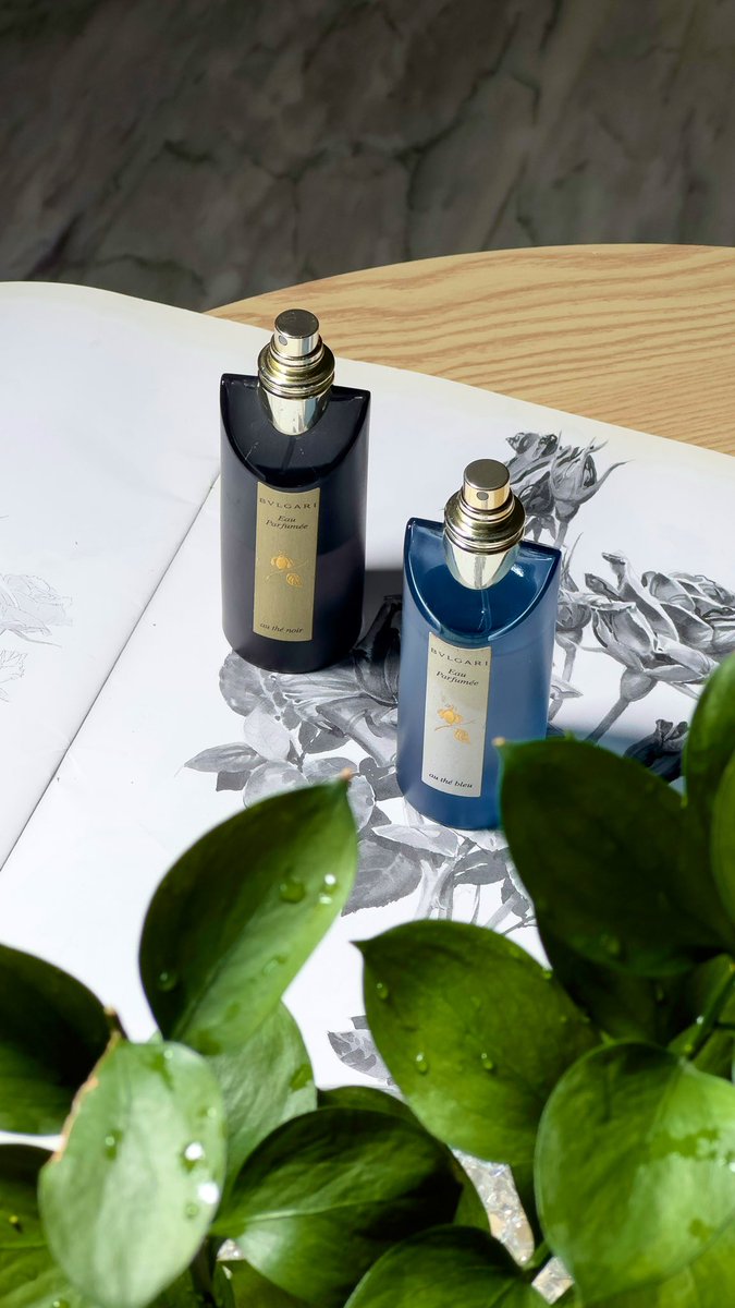 🍃
🍃🍃
رائحة الشاي تحمل 
قصصا لم تروى💫
من أجمل عطور 
الشاي الحسية 💫
The Bleu Bvlgari
Thé Noir Intense Bvlgari
#رابطة_عشاق_العطور 
#قصة_عطر 
#bvlgar
🍃🍃
🍃