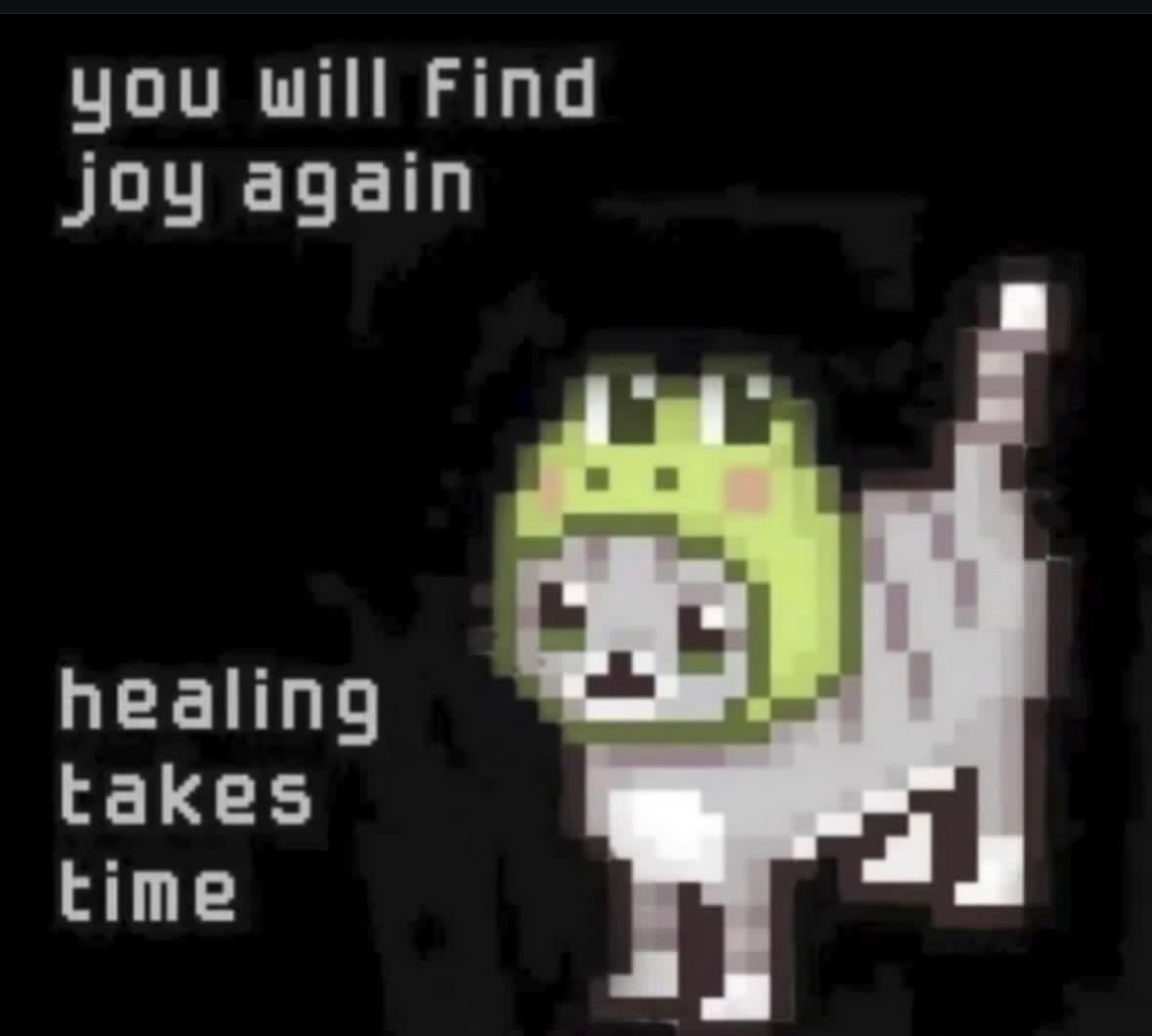 RespectfulMemes's tweet image. 