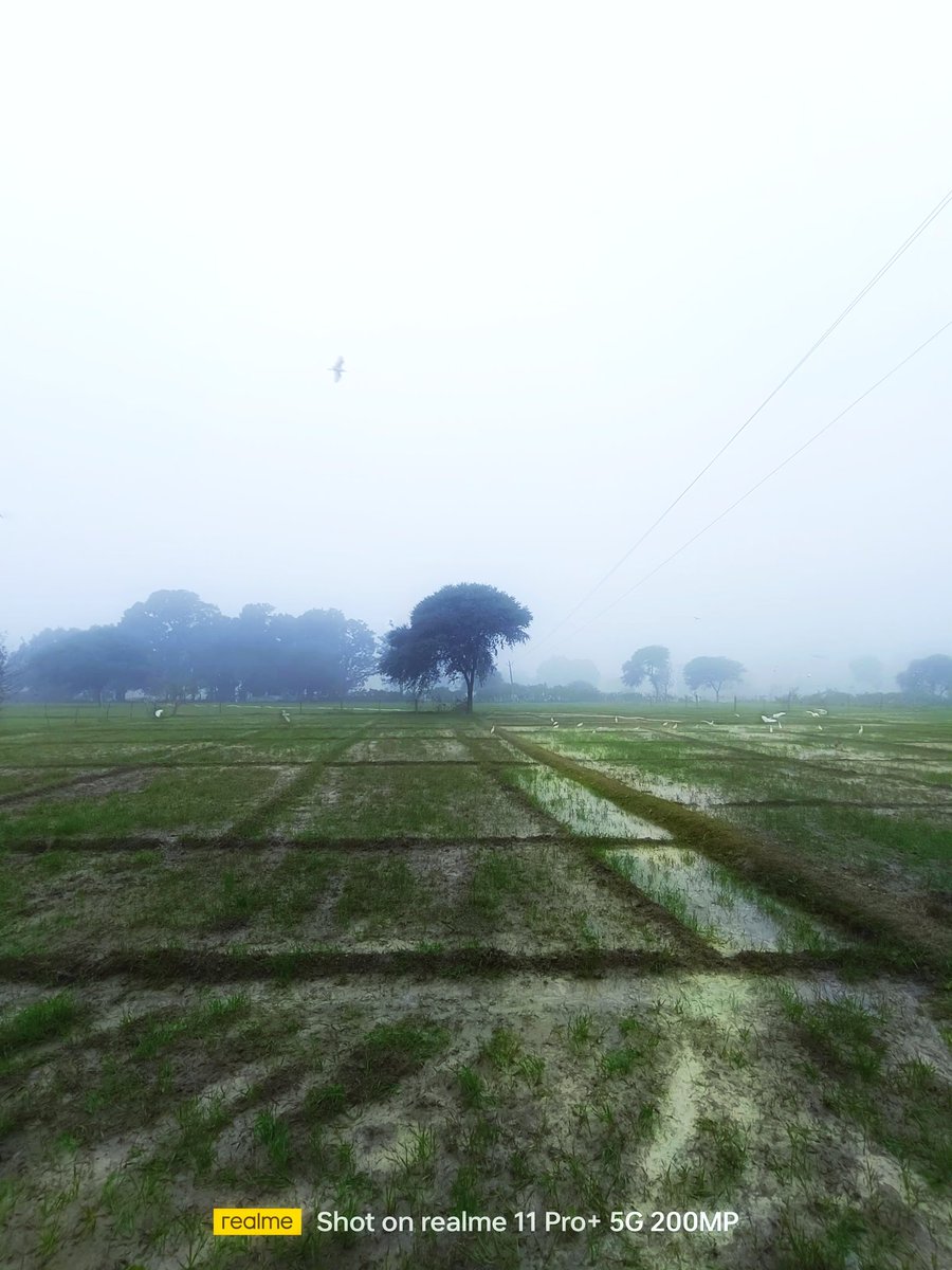 The Beauty 💞 #realme13ProSeries