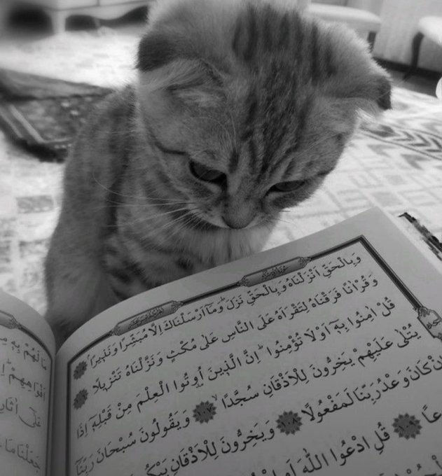 ﺍﻟﺴَّـــﻼَﻡُ ﻋَﻠَﻴــْــﻜُﻢ ﻭَﺭَﺣْﻤَﺔُ ﺍﻟﻠﻪِ ﻭَﺑَﺮَﻛـَـﺎﺗُﻪ 

<a href="/Nadia_1mm/">Nadia 🦋</a>

<a href="/ali_421980/">Fiza Ali</a>

<a href="/Charlie_307/">ᴄʜᴀʀʟɪᴇ ᴄʜᴀᴘʟɪɴ ®</a>

<a href="/Aeeee511/">‏اوتــً ا ر حســ ًا س</a>

<a href="/arpat007/">iqbal Amrillah</a>

<a href="/YNHallak/">Dr. Yaacoub Hallak</a>

<a href="/Frobozky/">Mike G Dorsett</a>

<a href="/k50h50/">khaled..S..A</a>

<a href="/papiko7890/">ぱぴこ❤</a>

<a href="/RPrima789/">🆙✩࿐ 🅱️🅿️riⓂ️a777 🇲🇨</a>

<a href="/MirsJin/">Sunni Warrior</a>

<a href="/alt2280/">Altaf Hussain</a>

<a href="/1_sfa1/">Player</a>

@_mu_sa1

<a href="/SaleemMala88911/">Saleem Malang</a>

<a href="/KhanKh23151672/">❤️ khan ♥️</a>