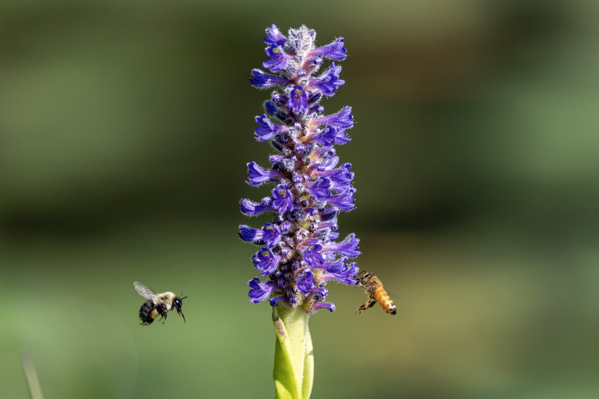 Richie Rathsack tweet media