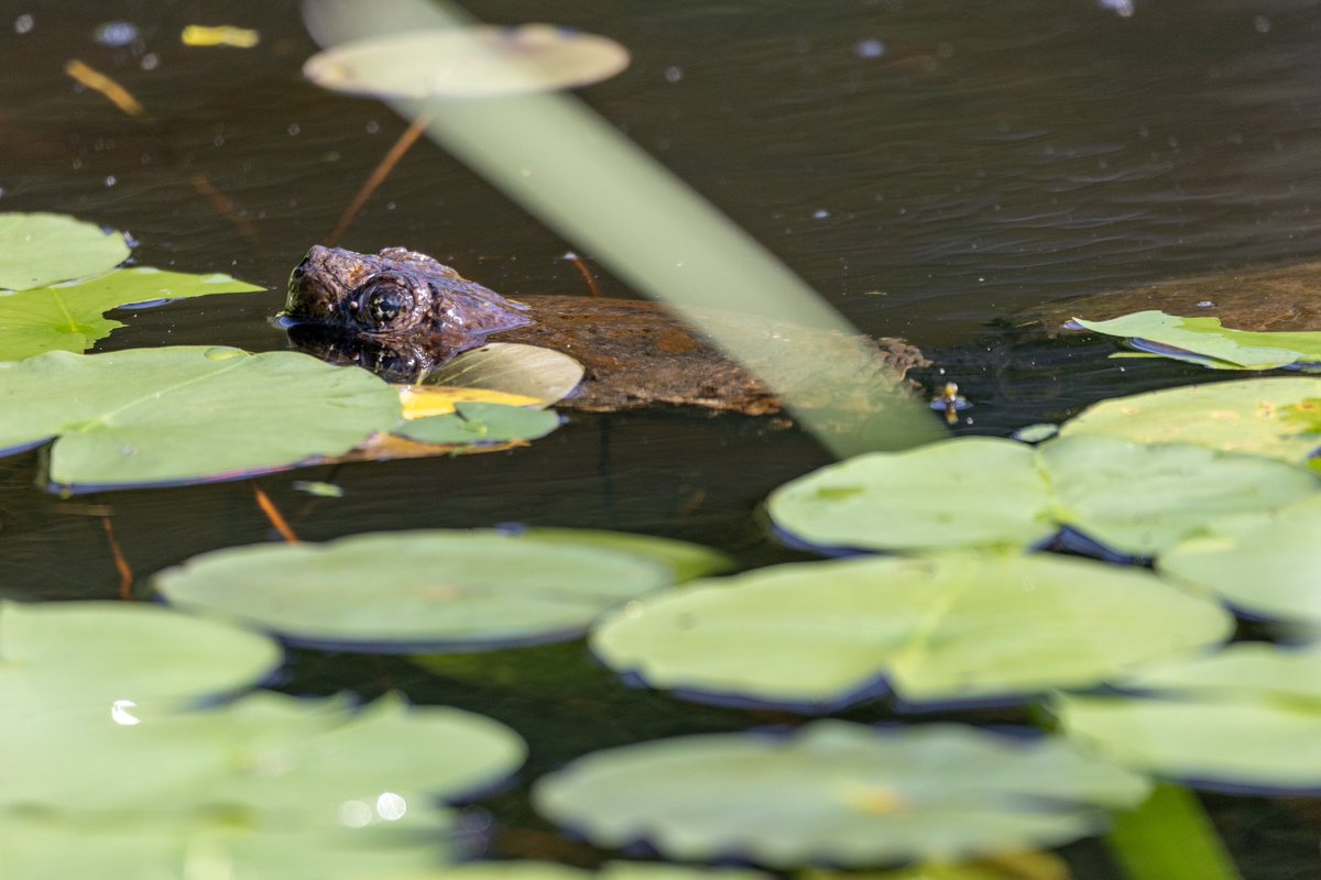 Richie Rathsack tweet media