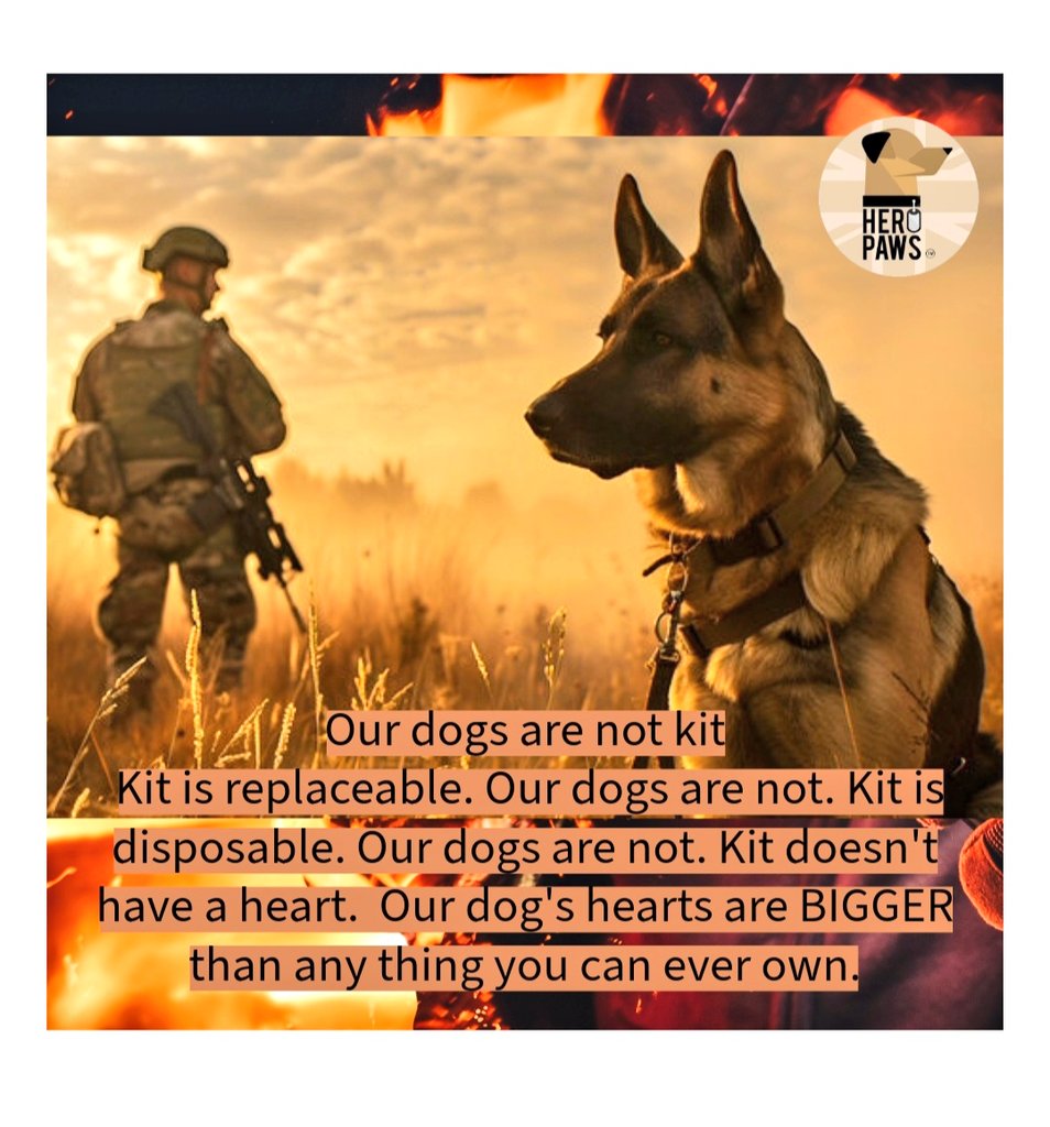 Heropawsuk's tweet image. Couldn't be a more poignant statement right now 
Please please please look after one another out thww and think before u put these innocents in the firing line 
🐾💙🐾💙🐾💙🐾

#policedog #militarydog #keepsafe