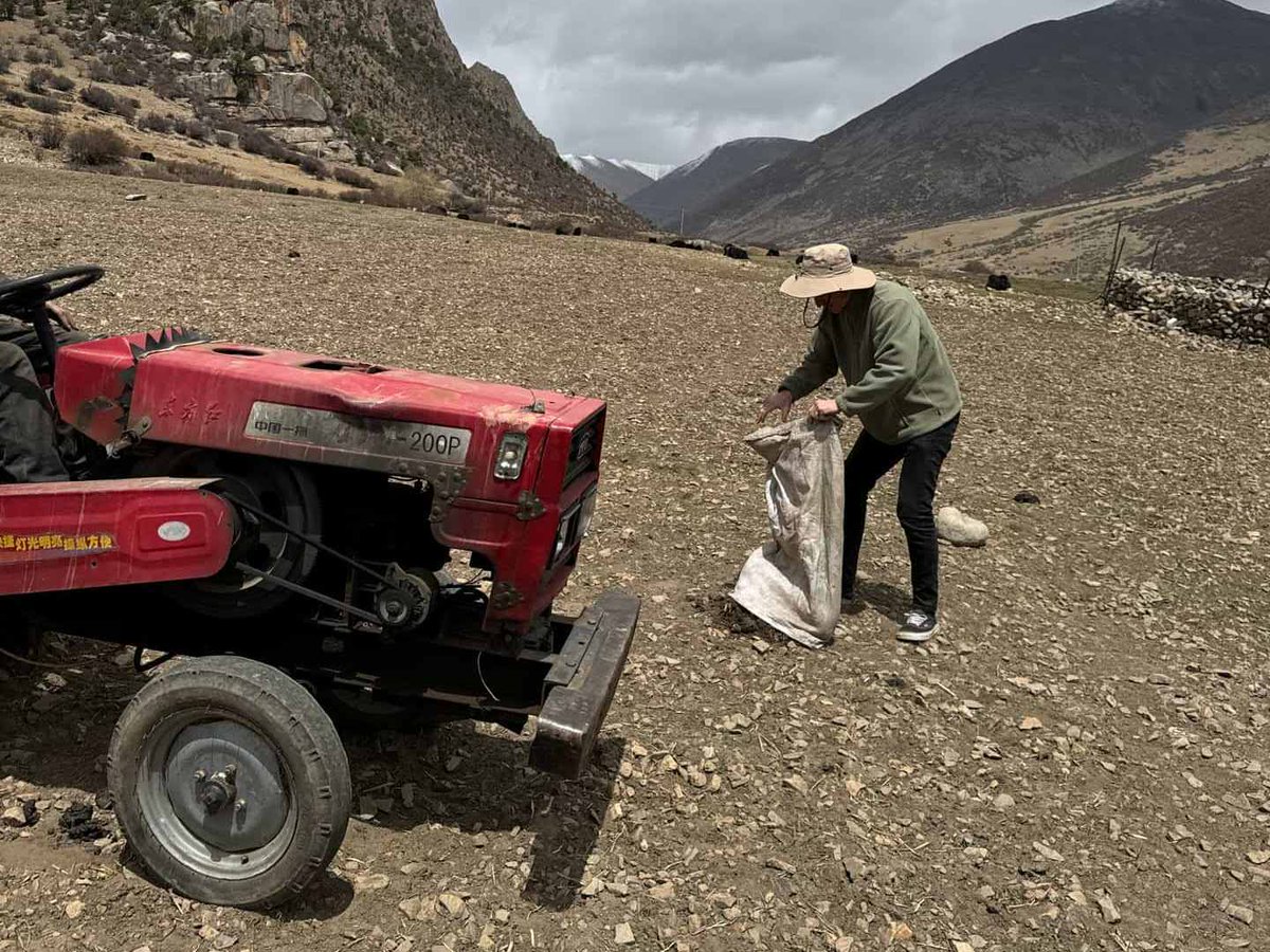djjsimpson's tweet photo. I didn’t know that we would spread Yak dung over every field in the  village. This is their way of fertilising the ground and preparing for  the incoming summer weather where they hope to grow grass for the yaks  to graze on.

https://t.co/RLk3jgW8pU https://t.co/hgjwLs69bO