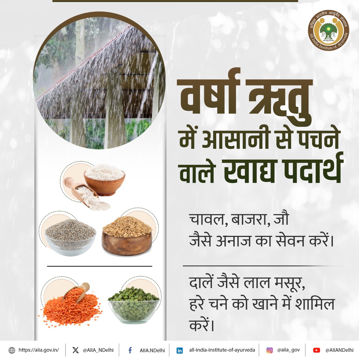 AIIA_NDelhi's tweet photo. बारिश में आसानी से पचने वाले ये आहार न केवल पाचन में सहायक होते हैं बल्कि शरीर को आवश्यक पोषक तत्व भी प्रदान करते हैं।

#AIIA #AIIAGoa #ayurveda #Ayush #health #CareWithCompassion #rain #lifestyle #moonsoon #MoonsoonS @moayush @tnesari https://t.co/mTlPJk971H