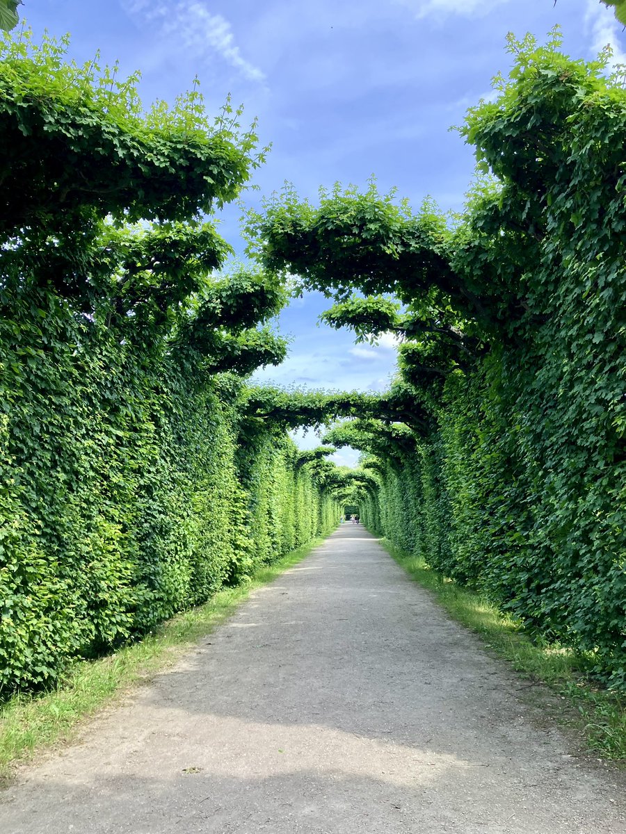 Summer adventures always lead to setting ideas for future WIPs 🤗