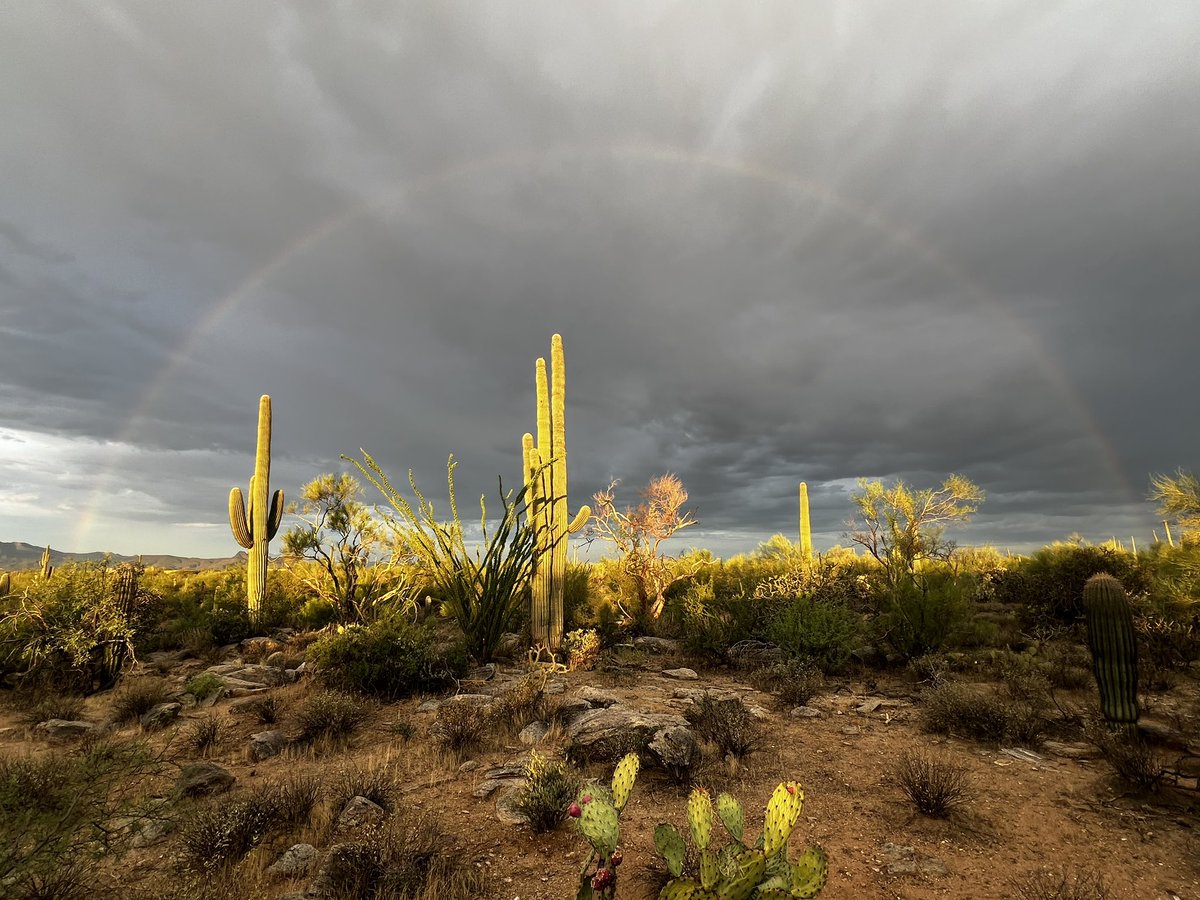 Full rainbow makes for a nice start to your Monday! #rainbow #Tucson #Arizona #NaturePhotograhpy #azwx <a href="/MallorySchnell/">Mallory Schnell</a> <a href="/WaldrefWeather/">Stephanie Waldref</a>