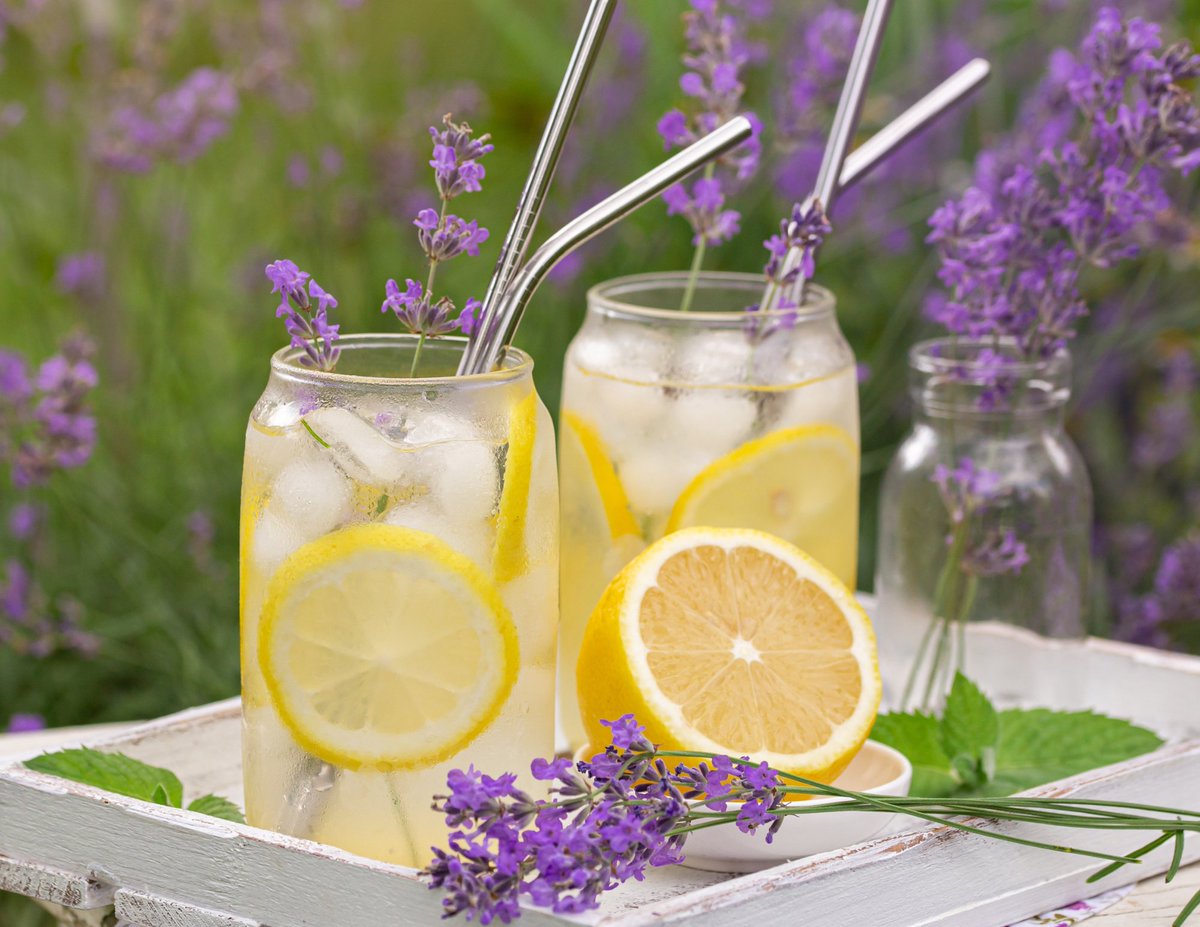 iTiTropicals's tweet photo. Coconut Water Lavender Lemonade is the ultimate refreshing drink. Made with fresh lemons, fragrant lavender, and hydrating coconut water. Request a free sample of iTi Tropicals' coconut water concentrate today! https://t.co/BkcZ8Ifhjf https://t.co/MdOX7PQgA3