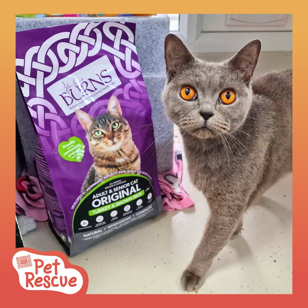 RSPCA Derby (@rspcaderby) on Twitter photo Storm would like to say a big thank you to <a href="/burnspetfood/">Burns Pet Nutrition</a> for providing us with delicious dry food for our cats and dogs πΎπ
#BurnsPetNutrition #BurnsPetFood #PoweredByBurns #BackedByBurns Storm would like to say a big thank you to <a href="/burnspetfood/">Burns Pet Nutrition</a> for providing us with delicious dry food for our cats and dogs πΎπ
#BurnsPetNutrition #BurnsPetFood #PoweredByBurns #BackedByBurns