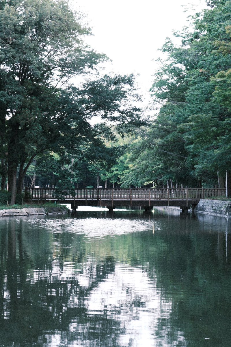 mumimuuun's tweet photo. #XT5 https://t.co/On44F5ol4U