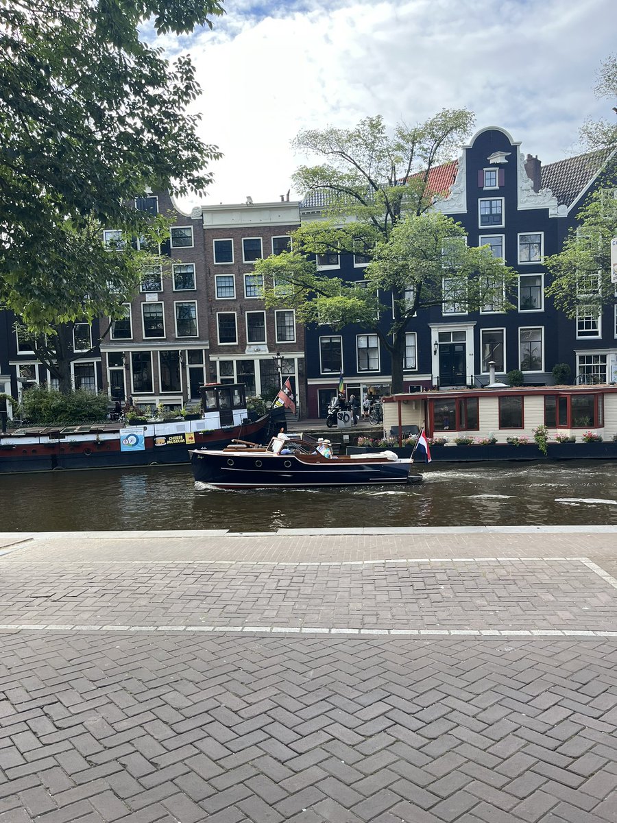 Daniela M. Zolezzi tweet media