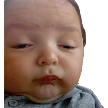 Murilofer04's tweet photo. Confesso que estava esperando quebra pau de dragões, mas só daqui 2 ou 3 anos mesmo https://t.co/6KVp4bfbFL