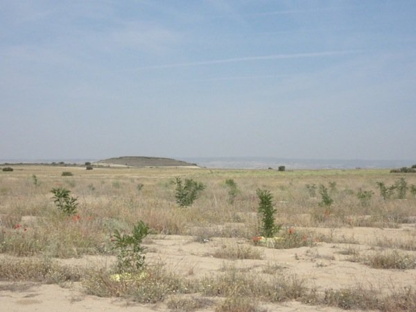 groasis's tweet image. Planted in 2011  as part of Life+ The Green Deserts project, these trees are planted with the #Waterboxx in the Monegros Desert have never received any irrigation. The trees are now up to 6m tall!
Recent beautiful photos and a video from Joti Jotiviris : youtube.com/watch?v=tOuzHJ…