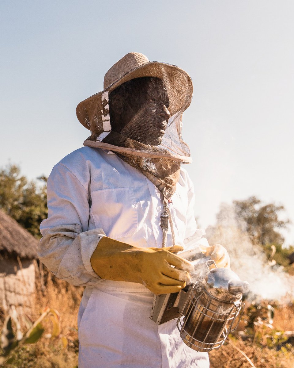 Wilderness Vumbura Plains partners with the Okavango Community Trust and local villagers. Join us in the Okavango Delta to see how we inspire the next generation to protect wildlife. Travel with a purpose. Travel with us bit.ly/4ccKNDN
#WeAreWilderness#TravelWithPurpose
