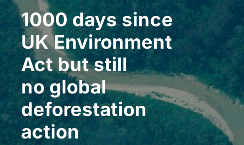 David Hill tweet media