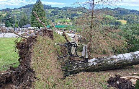 FEDARENE tweet media