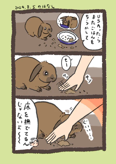 hiragana utenai nande

#うさぎのいる生活 