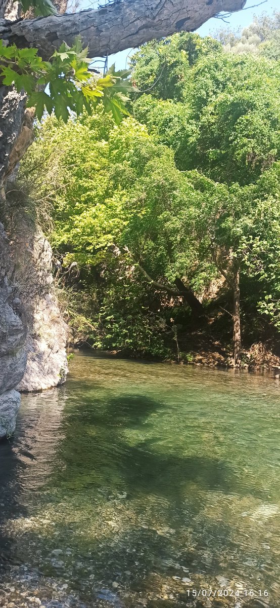 Secil0113's tweet photo. #Yeşilvadi #fethiye https://t.co/EyOPH9CYG8