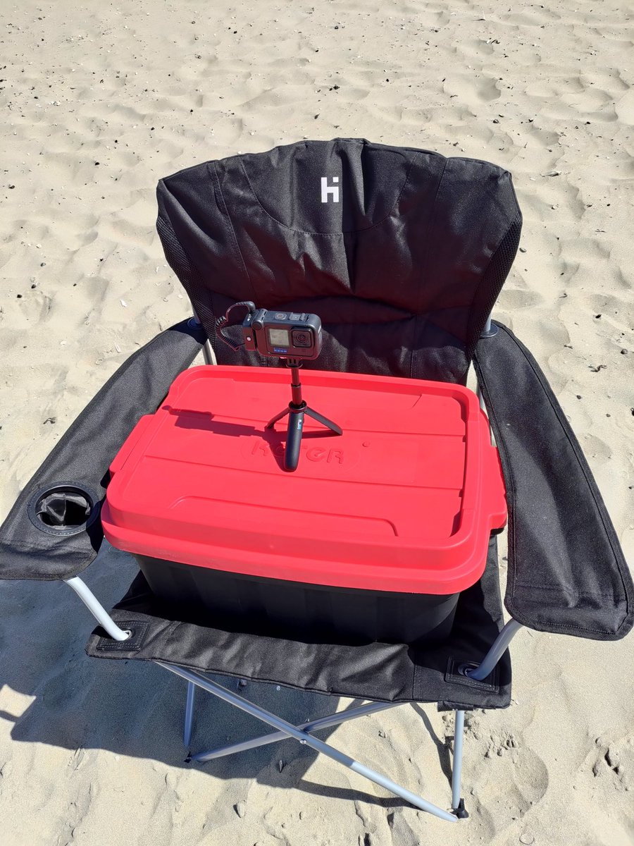 Recording the first dev vlog for the new game 🐔