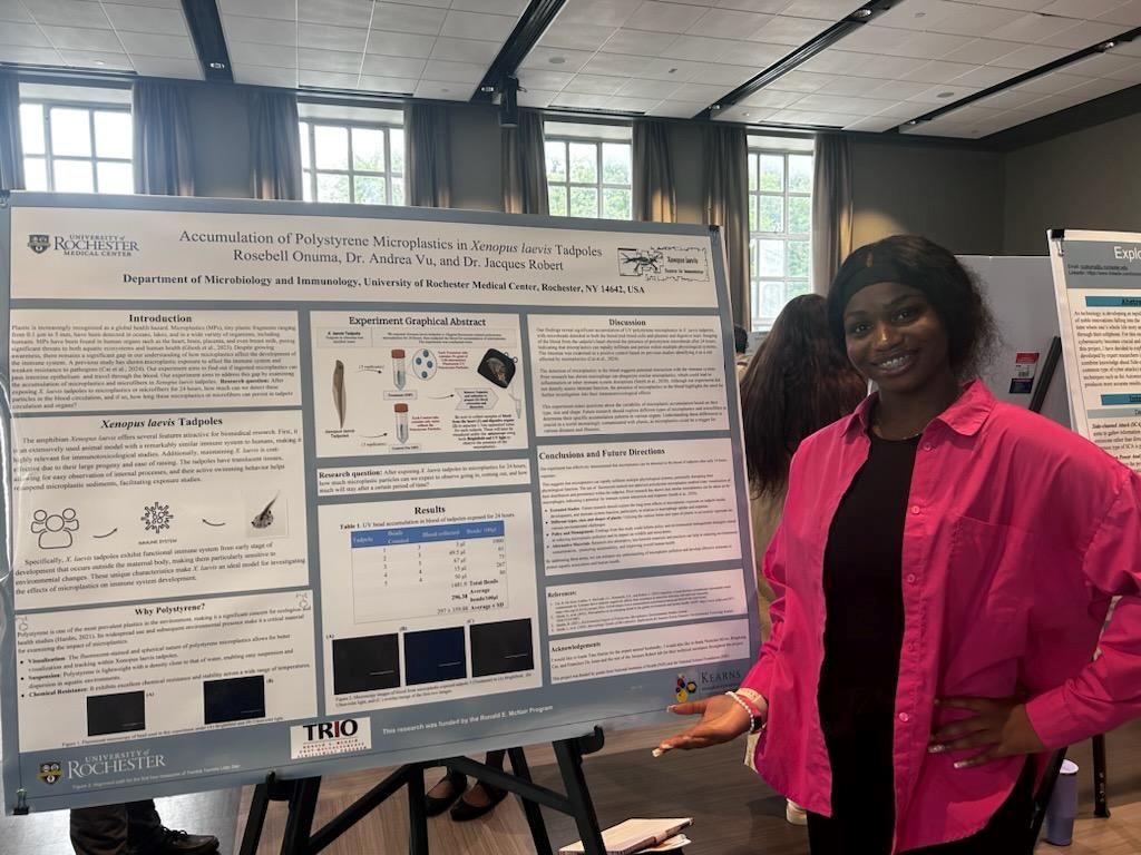 UR Institute for Human Health and the Environment (@ur_ihhe) on Twitter photo Rosebell Onuma, a rising senior <a href="/UofR/">University of Rochester</a> environmental health major, presented her #microplastics research in Jacques Robert's lab at the McNair summer scholars research symposium.
#URochesterResearch Rosebell Onuma, a rising senior <a href="/UofR/">University of Rochester</a> environmental health major, presented her #microplastics research in Jacques Robert's lab at the McNair summer scholars research symposium.
#URochesterResearch
