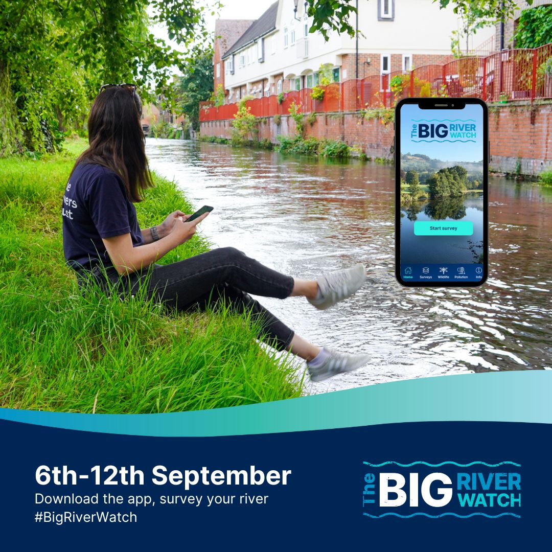 Save the date - the Big River Watch by <a href="/theriverstrust/">The Rivers Trust</a>  is back on 💙

On 6th -12th September,  join thousands of citizen scientists and tell us what you see 👀

1⃣Spend 15 minutes watching a river

2⃣Share your finds in the free Big River Watch app