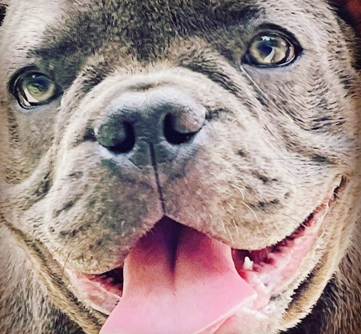 vivifernandeztv's tweet image. Sorria 😍
#margot