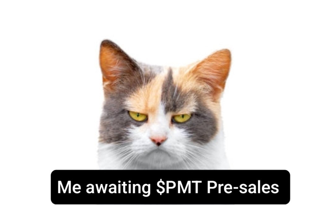 DefiDeck's tweet image. 📣 Good day fam! ⭕️ Exciting news - @GoTransferMole is almost here, presale coming soon 🤝 

#TransferMole #PMT #Crypto #p2p