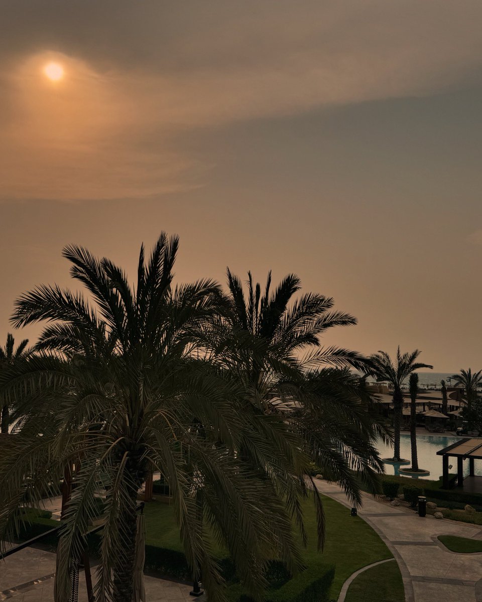 Eimear O’Boyle (GMBPsS) tweet media