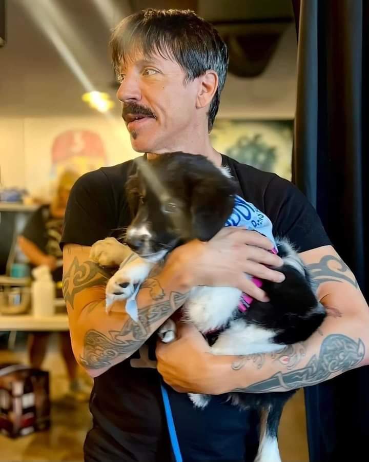 zampa_qua's tweet photo. Ama gli animali e questo mi dice che è buono di cuore. Io la vedo così.❤️❤️❤️❤️🐕🐈🐖🐗🐂🐄🐏🐑🐇🐾🦆 @ChiliPeppers #adotta #cane #gatto #animali #savetheanimal #cats #dogs #adopt https://t.co/ezSaQEOVTU