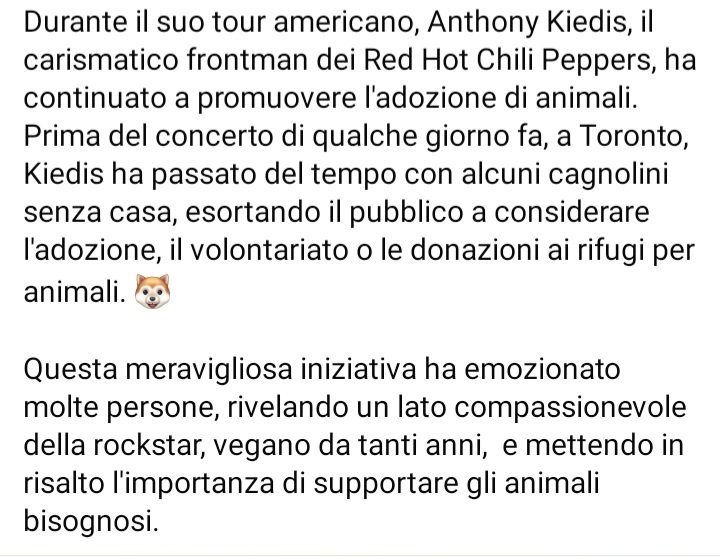 zampa_qua's tweet photo. Ama gli animali e questo mi dice che è buono di cuore. Io la vedo così.❤️❤️❤️❤️🐕🐈🐖🐗🐂🐄🐏🐑🐇🐾🦆 @ChiliPeppers #adotta #cane #gatto #animali #savetheanimal #cats #dogs #adopt https://t.co/ezSaQEOVTU