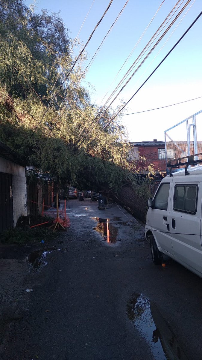 AsPlobos's tweet photo. @chilevision @CerroNaviaCL @tvn @EnelChile @Enel_Informa_CL  nadie desde el jueves, Cerro Navia, Pasaje conguillio, árbol apunto de caer sobre casa y llevarse 5 postes ... obvio sin luz e Internet ... https://t.co/TZwURjqcIp