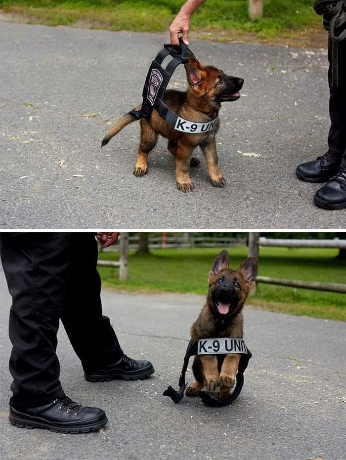 Why don't pictures like this ever trend 🥰❤️😍